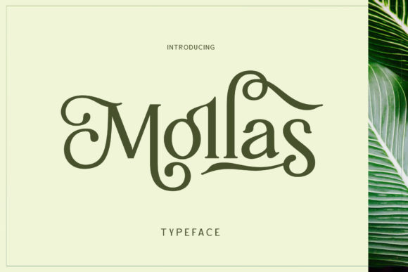 Mollas: A Playful Nostalgia in Typography